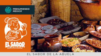ESDA programa 005 B2