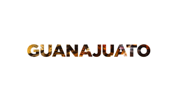 Guanajuato LINER ESTADO