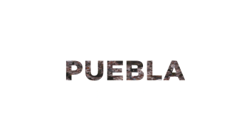 Puebla LINER ESTADO