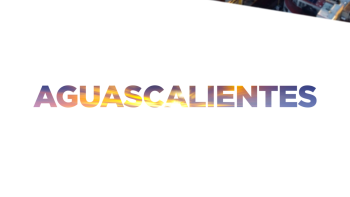 Aguascalientes LINER ESTADO