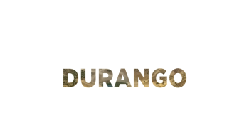 DURANGO LINER ESTADO