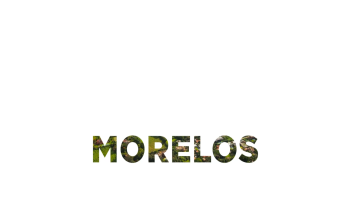 MORELOS LINER ESTADO