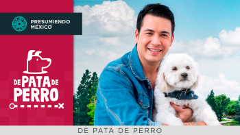 PDP programa 006 B1