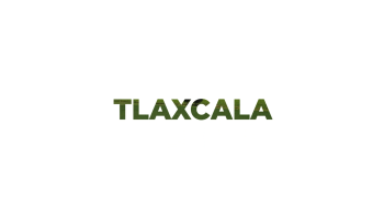 TLAXCALA LINER ESTADO 