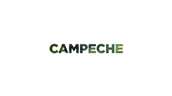 CAMPECHE liner estado